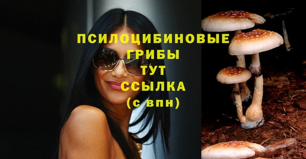 герыч Абинск