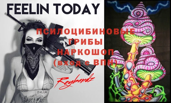 экстази Абаза